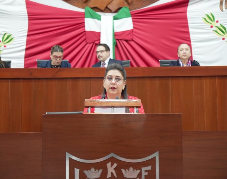 diputada soraya noemi