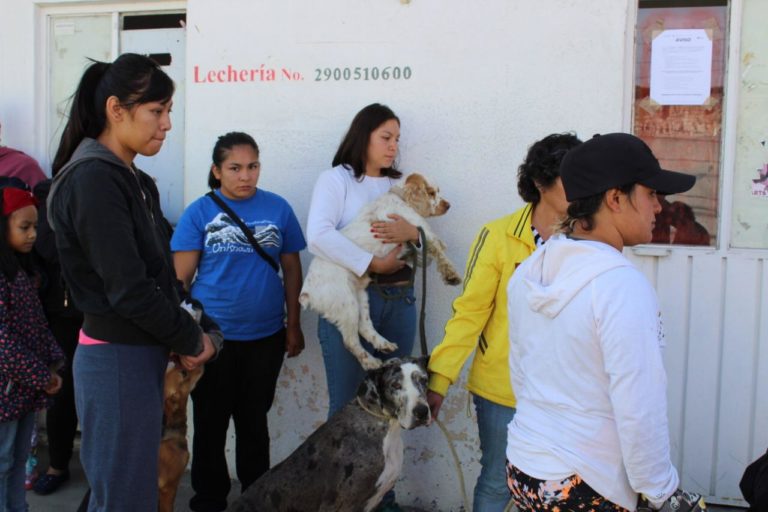 esterilizacion
