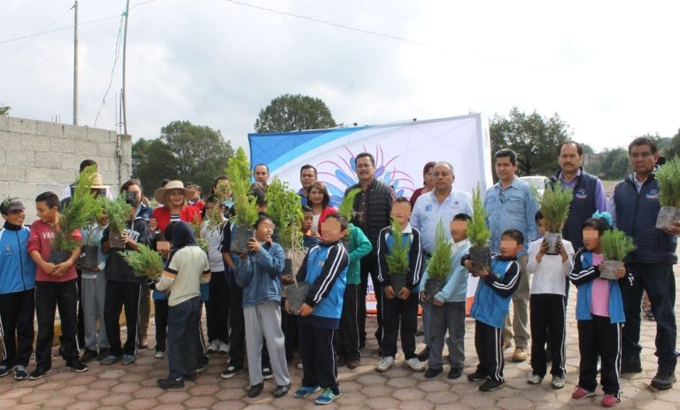 reforestacion