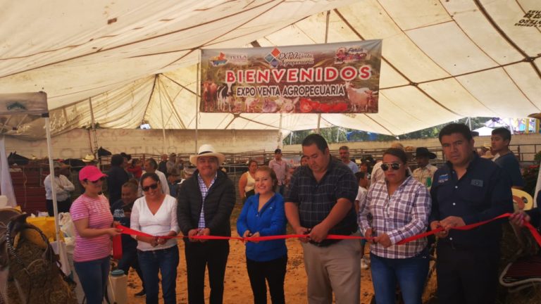 feria tetla eleazar