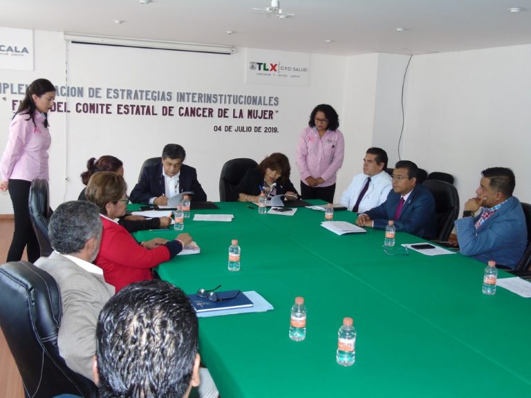 sesa comite