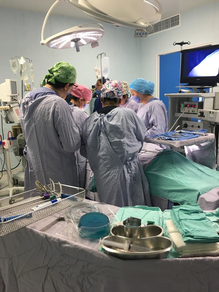 transplante renal