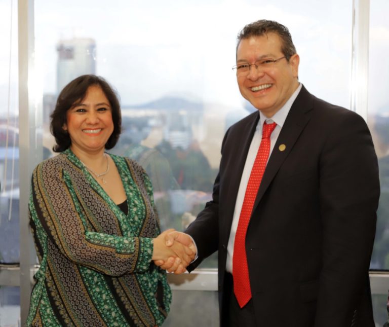 mena funcion publica