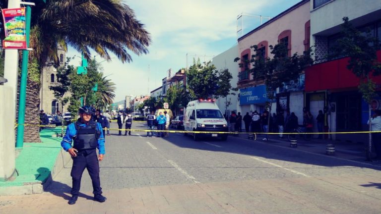 polis apizacoo