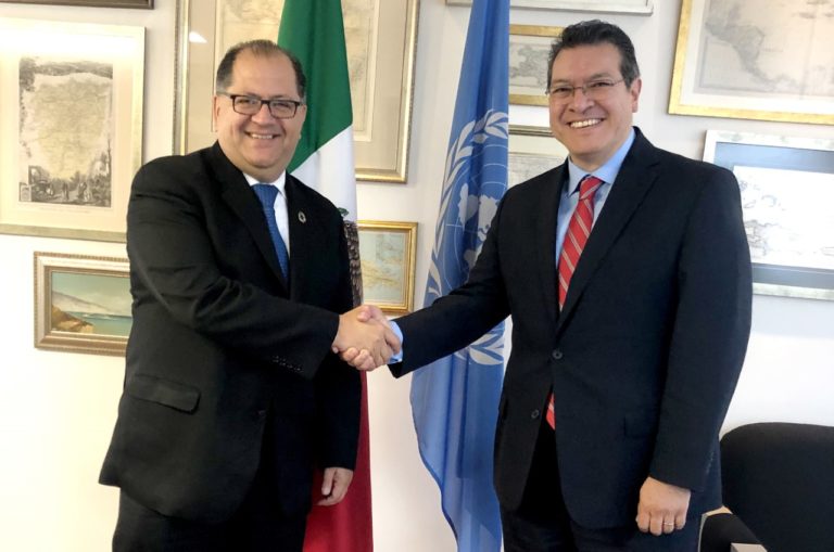 mena onu