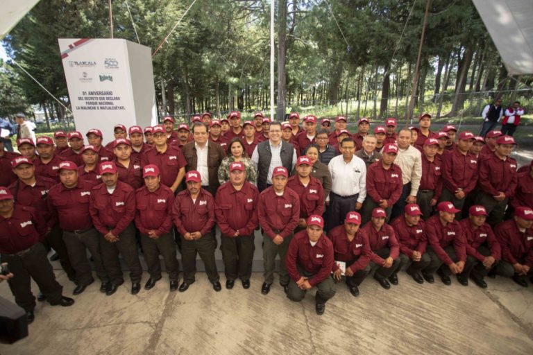 mena brigadistas