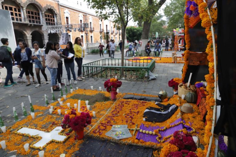 ofrendas sepe