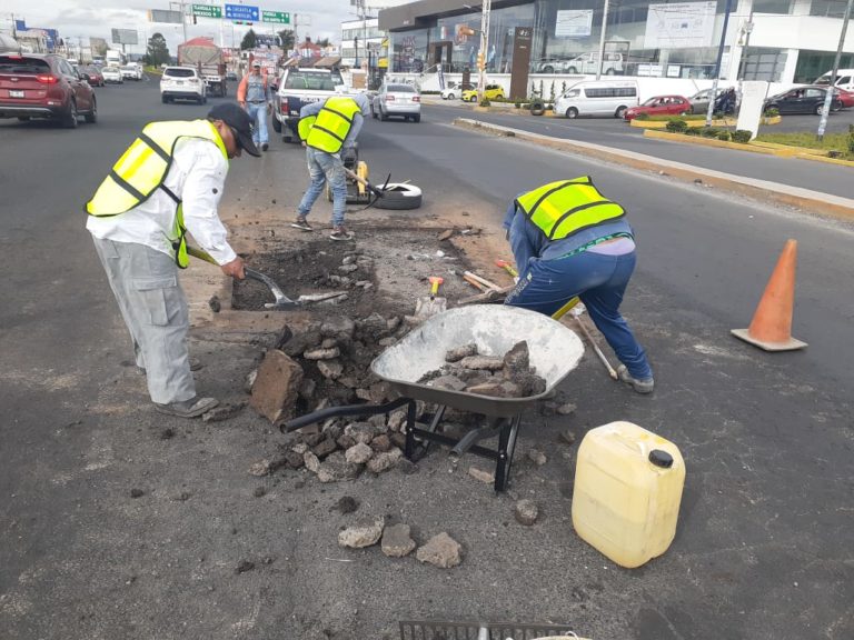 yauhquemehcan bacheo