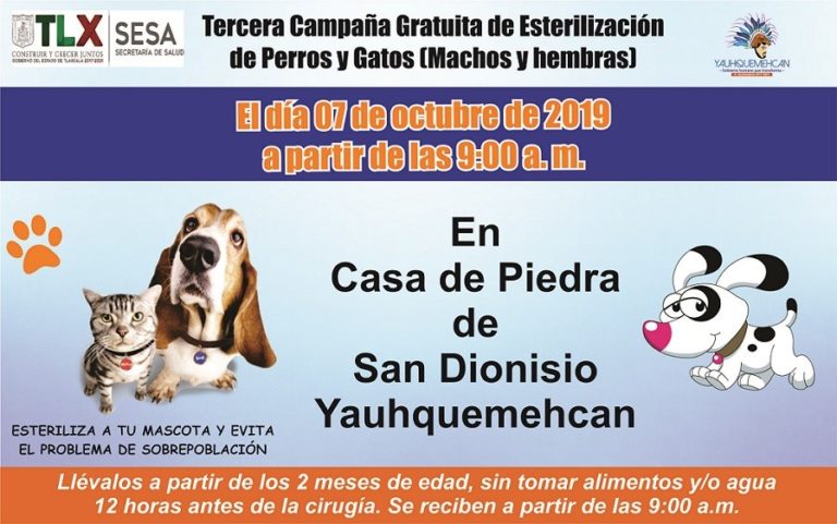 yauhquemehcan perros y gatos
