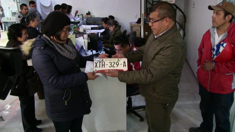 secte placas
