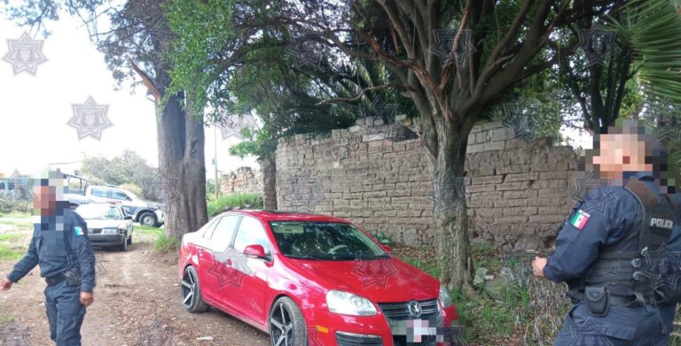auto polis apizaco
