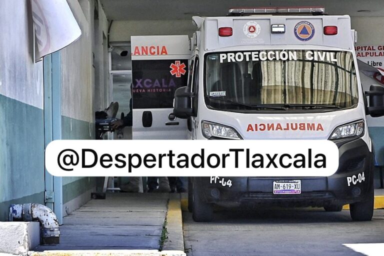 WhatsApp Image 2026-03-03 at 1.31.32 PM