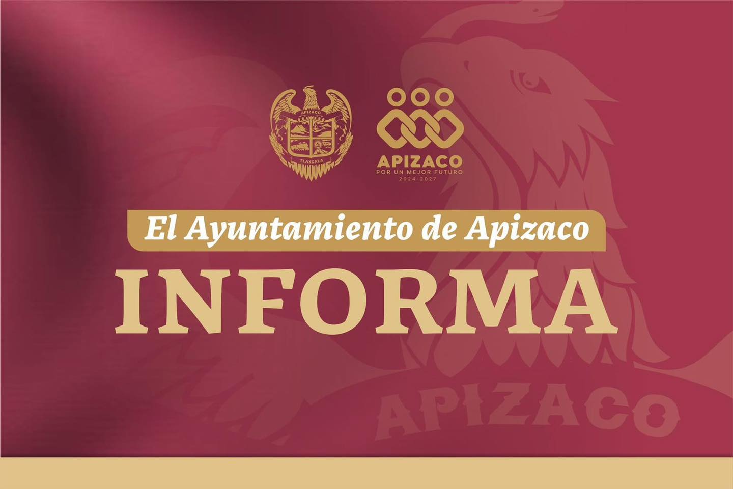 apizaco apoyo