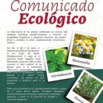 ecologia