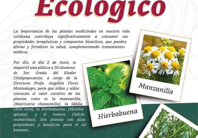 ecologia
