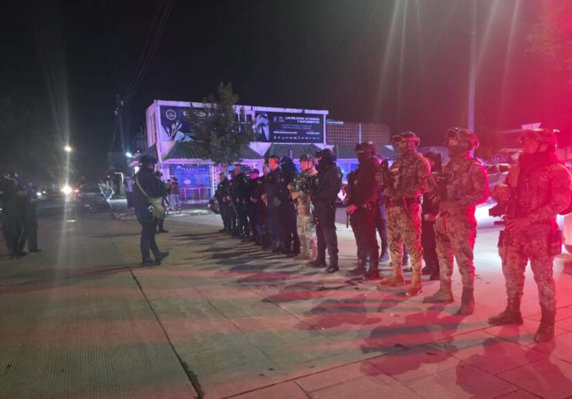 polis 12