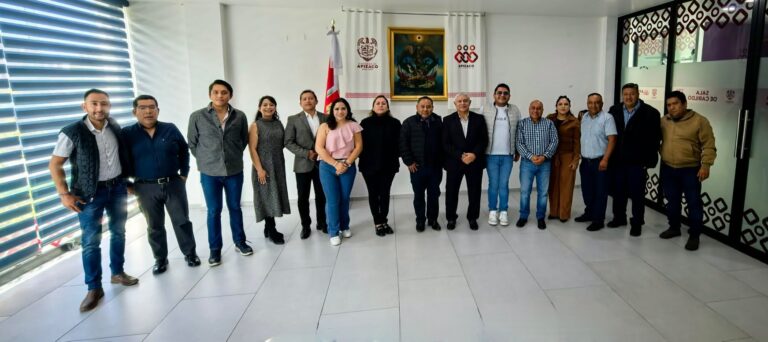 cabido apizaco